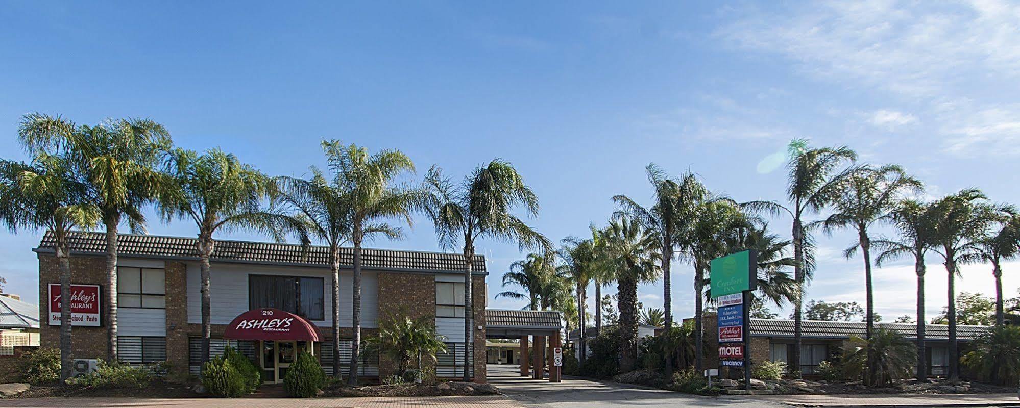 Citrus Valley Motel Ренмарк Экстерьер фото
